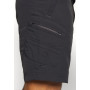 Short de randonnée REGATTA Leesville II Anthracite Homme