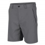 Short de randonnée REGATTA Leesville II Gris Homme