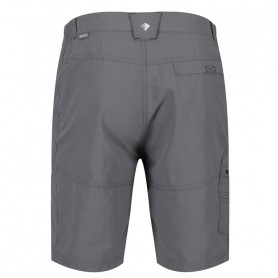 Short de randonnée REGATTA Leesville II Gris Homme