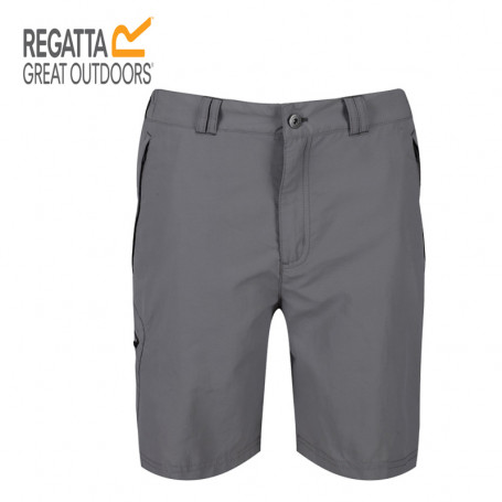 Short de randonnée REGATTA Leesville II Gris Homme