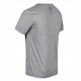 Tee-shirt de randonnée REGATTA Fingal V Gris Homme