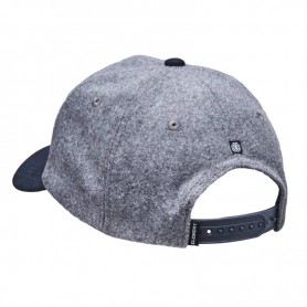 Casquette ELEMENT Treelogo Gris / Bleu Unisexe