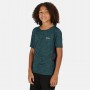 Tee-shirt de randonnée REGATTA Takson III Vert Junior