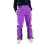 Pantalon de ski PLANKS All Time Insulated Violet Femme