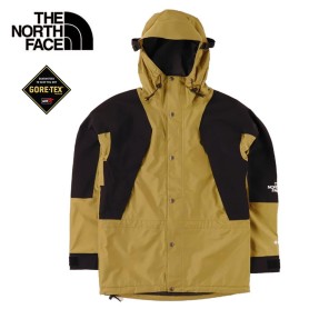 Parka Gtx THE NORTH FACE Retro Mountain Light Noir Unisexe