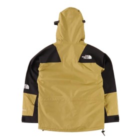 Parka Gtx THE NORTH FACE Retro Mountain Light Noir Unisexe