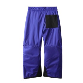 Pantalon de ski THE NORTH FACE Freedom Ins Bleu Junior