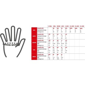 Gants de ski SNOWLIFE Ovis Gtx Noir Homme