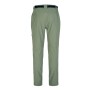 Pantalon de randonnée Dare 2B Disport II Vert Homme