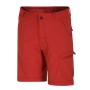 Short de Randonnée DARE 2B Reprise II Rouille Junior
