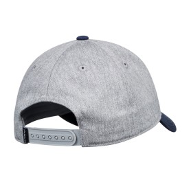 Casquette ELEMENT Treelogo 2.0. Gris/Bleu Unisexe