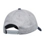 Casquette ELEMENT Treelogo 2.0. Gris/Bleu Unisexe