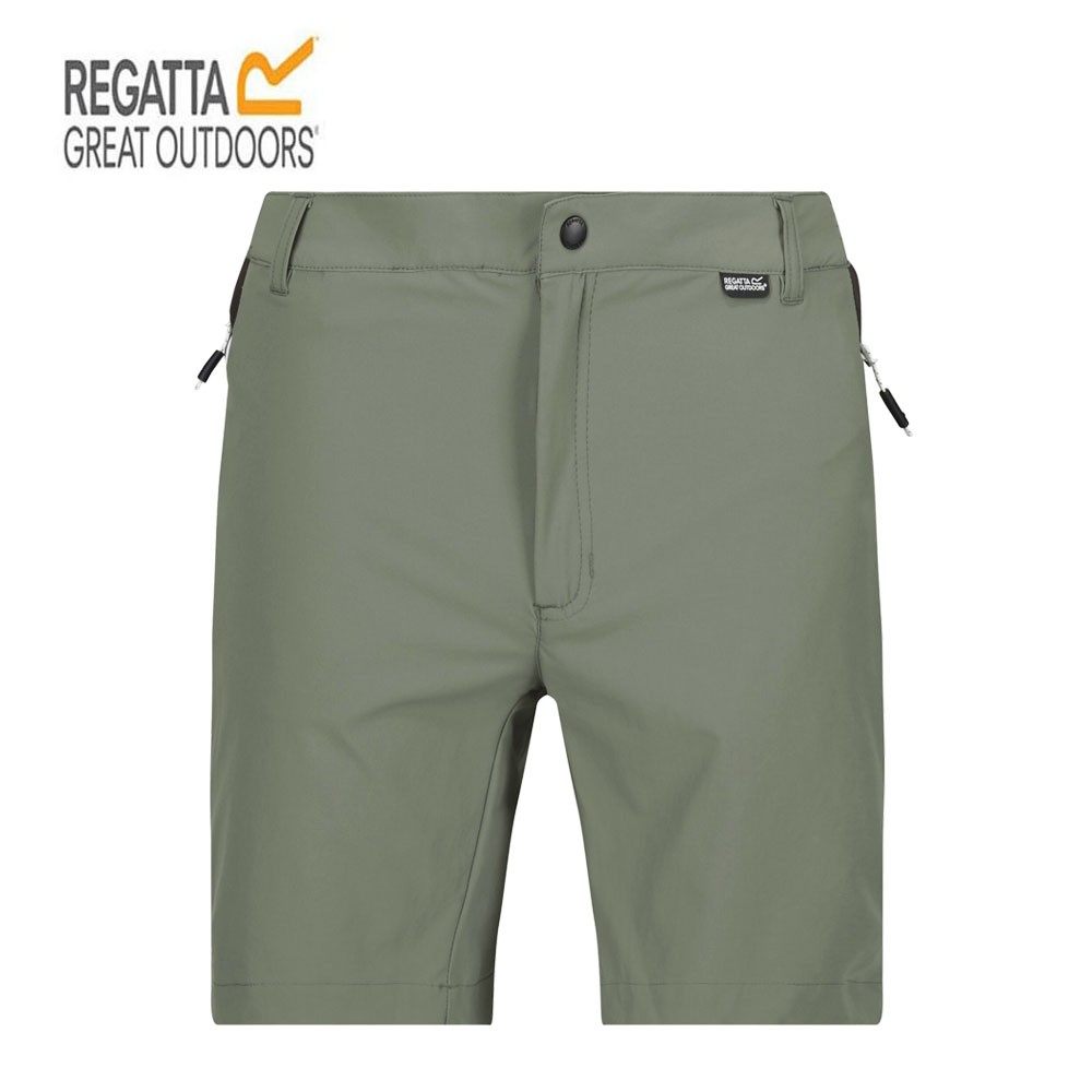 Short de randonnée REGATTA Mountain Vert Homme
