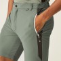 Short de randonnée REGATTA Mountain Vert Homme