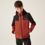 Veste Softshell REGATTA Hayden Bury II Ocre / Noir Junior