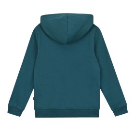 Sweat à capuche PUMA Ess+2 Col Big Logo Vert Junior