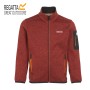veste polaire à capuche garçon Regatta bicolore en déstockage