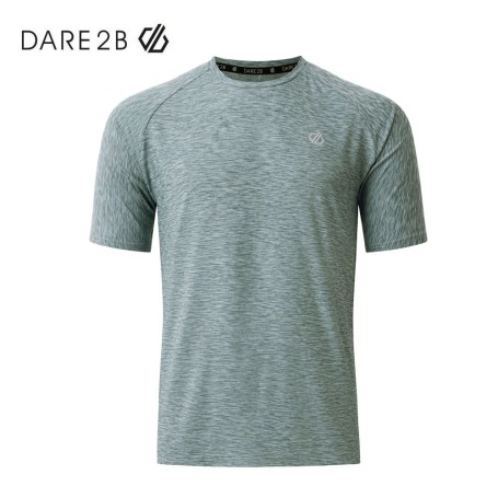 Tee-shirt DARE 2B Power Up Gris vert Homme