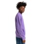Sweat ELEMENT Cornell 3.0 Crew Violet Homme