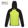 Micro-doudoune REGATTA Trutton Noir/Kiwi Homme