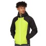 Micro-doudoune REGATTA Trutton Noir/Kiwi Homme