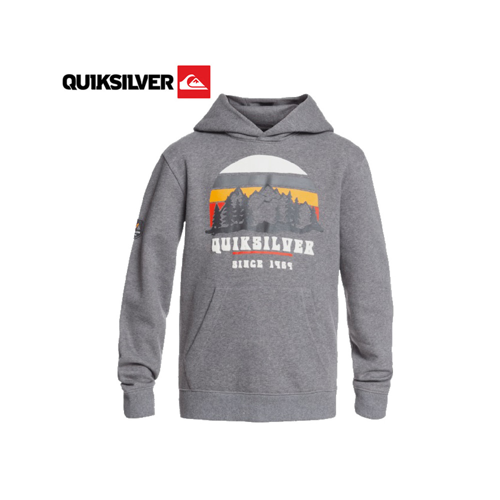 Sweat à capuche QUIKSILVER Big Logo Snow Gris Junior