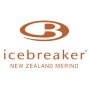 Icebreaker