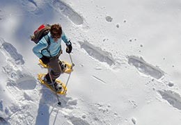 Comment s’équiper pour une randonnée en raquettes ?