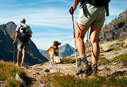 Comment préparer une randonnée en montagne cet été ?